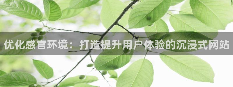 凯发唯一官方网站|优化感官环境：打造提升用户体验的沉浸式网站